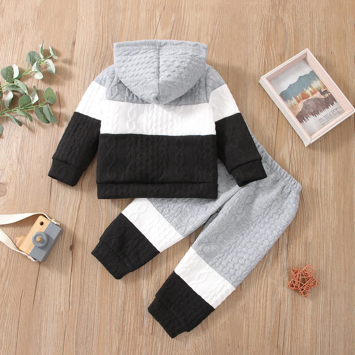2-piece Toddler Girl/Boy Colorblock Hoodie Sweatshirt and Pants Set