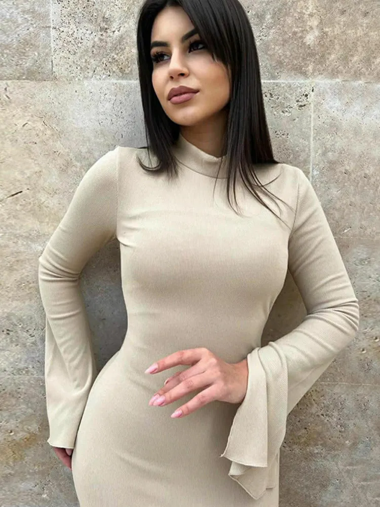 Jamie Turtleneck Long Sleeve Bodycon Maxi Dress