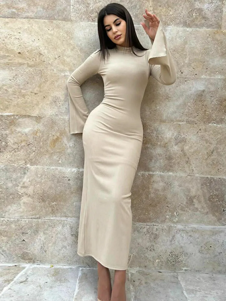 Jamie Turtleneck Long Sleeve Bodycon Maxi Dress